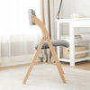 SoBuy FST92-Nx2 Fällbara Matstolar i Trä – Set med 2 Ergonomiska, Vadderade Köksstolar, Platsbesparande Design för Små Utrymmen, Ljusgrå
